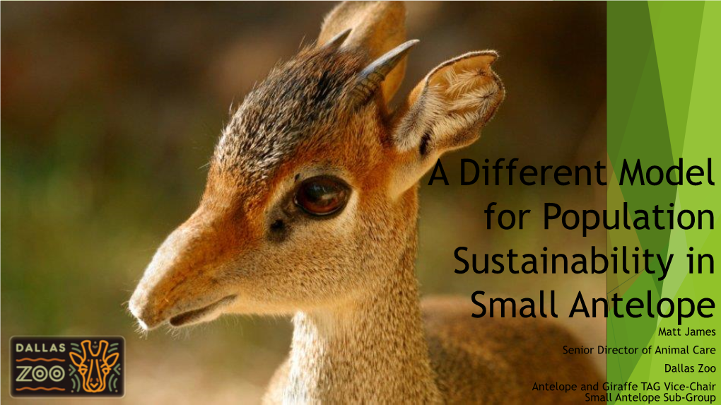 A Different Model for Sustainability in Small Antelope Populations