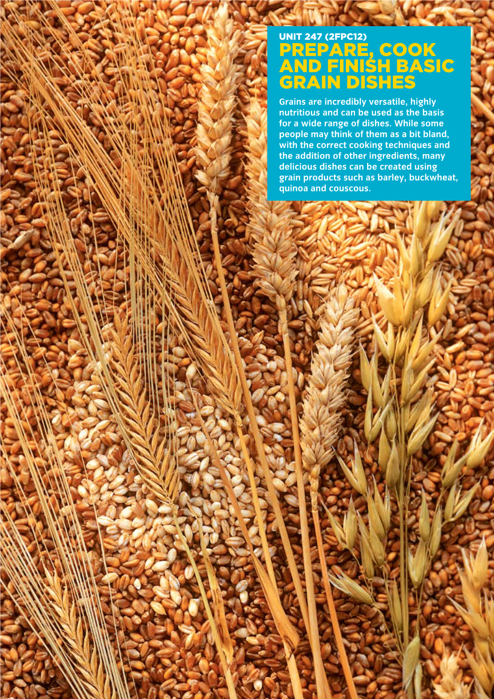 PREPARE, COOK and FINISH BASIC GRAIN DISHES Grains Are Incredibly Versatile, Highly Nutritious and Can Be Used As the Basis for a Wide Range of Dishes