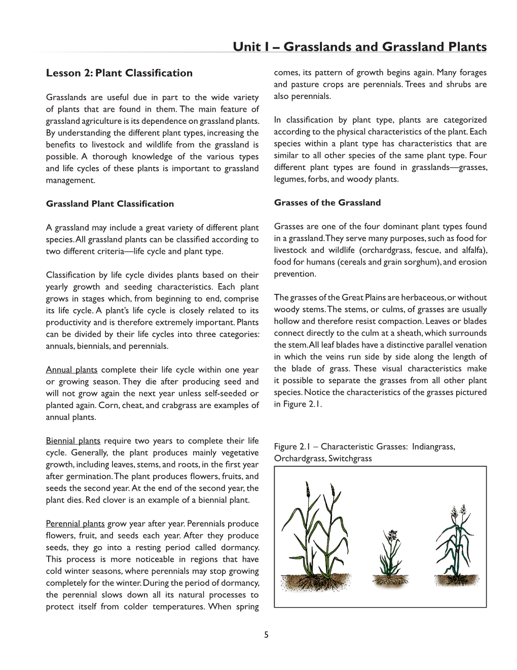 Grasslands and Grassland Plants