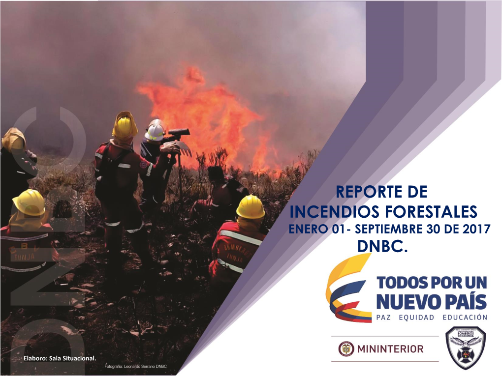 Reporte De Incendios Forestales Enero 01- Septiembre 30 De 2017 Dnbc