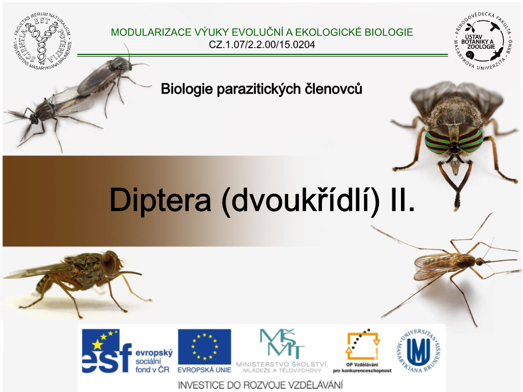 6 Diptera2.Pdf