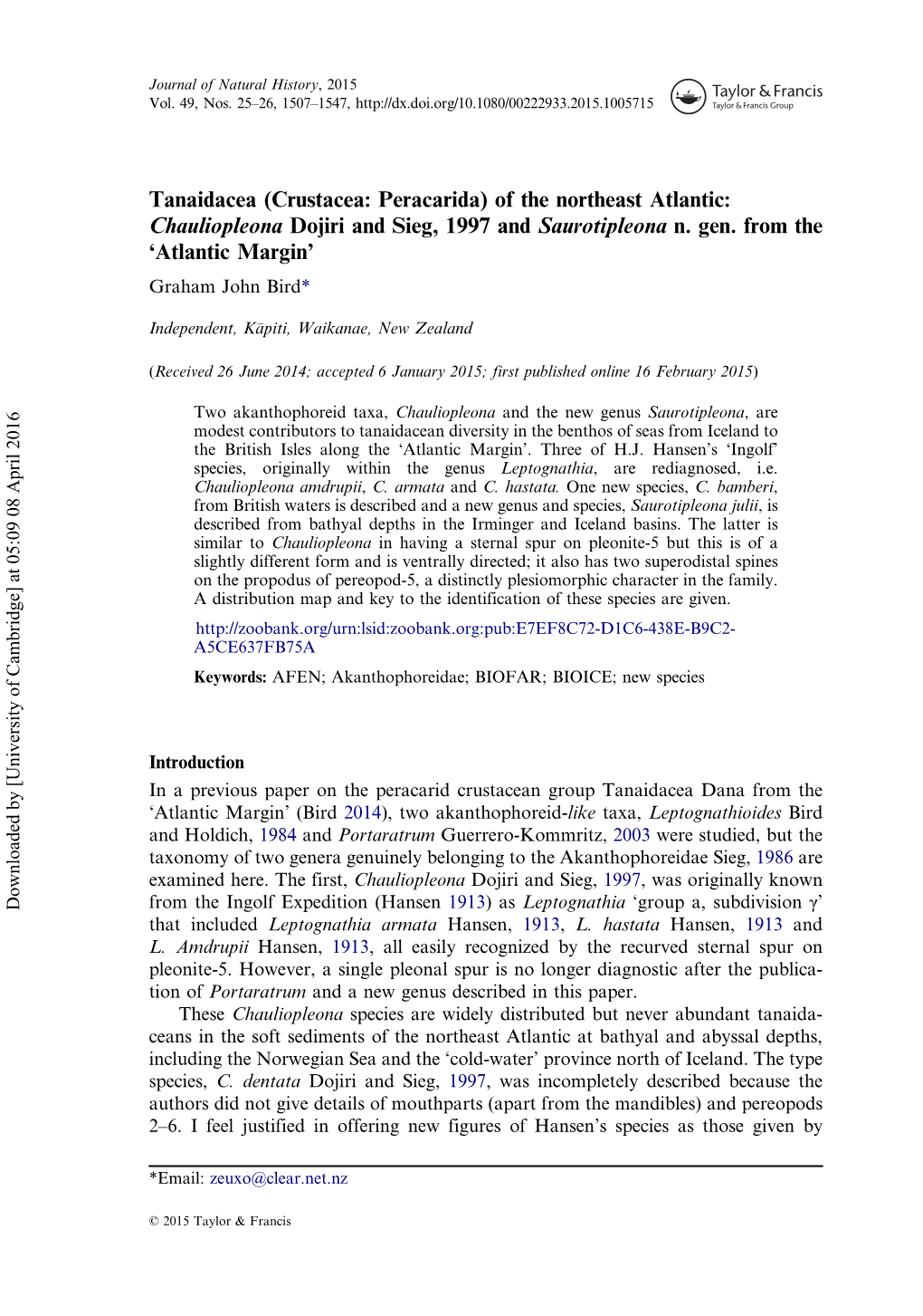 Tanaidacea (Crustacea: Peracarida) of the Northeast Atlantic: Chauliopleona Dojiri and Sieg, 1997 and Saurotipleona N