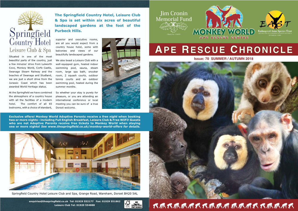 Ape Rescue Chronicle Three Mug & Coaster • the Ape Rescue Kinds of Different Chronicle, Published All Donations Go Into a 100% Fund - NO Times Per Year