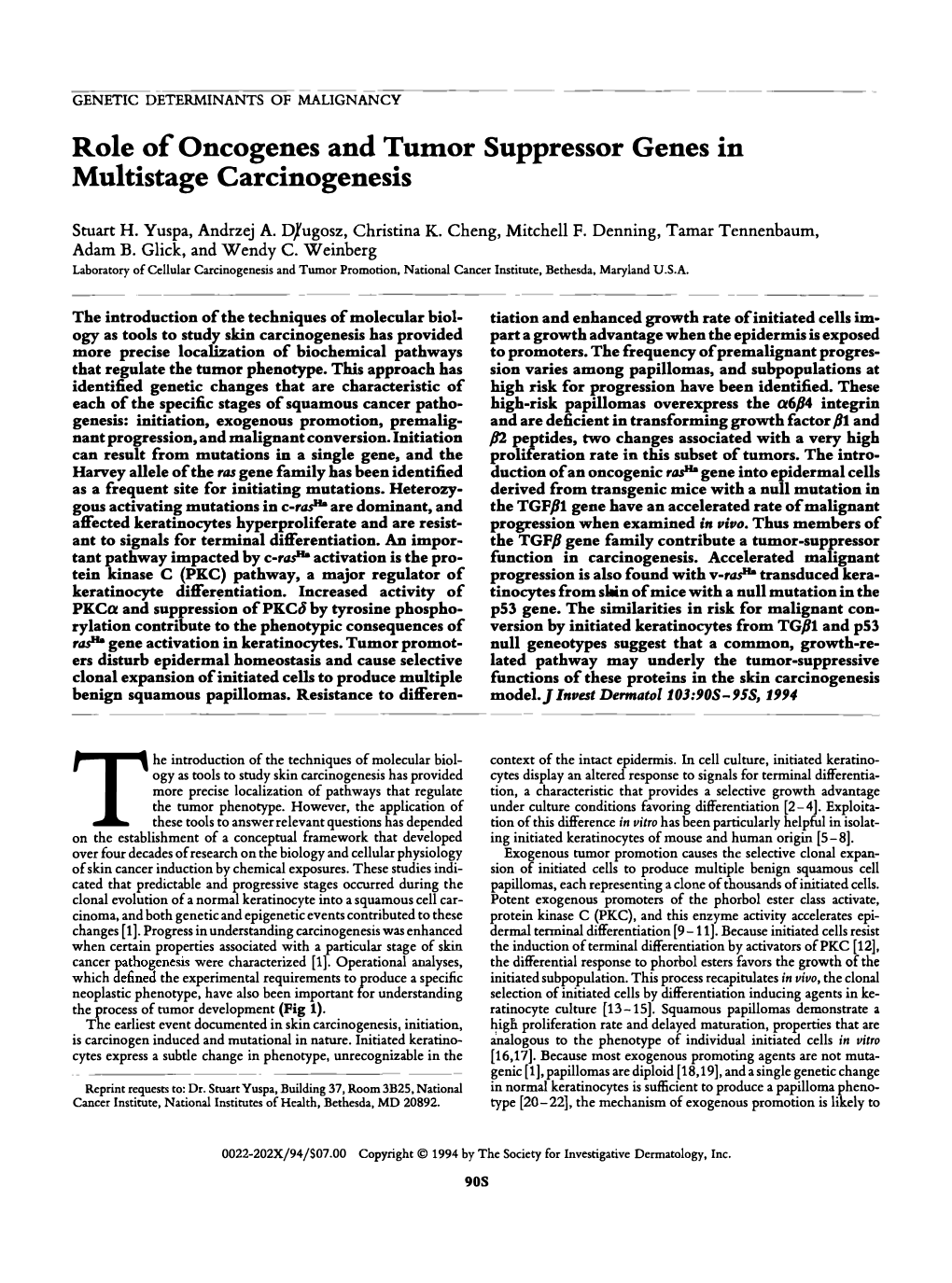 Role of Oncogenes and Tumor Suppressor Genes in Multistage Carcinogenesis