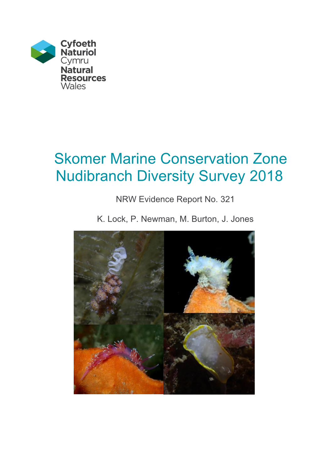 Skomer Marine Conservation Zone Nudibranch Diversity Survey 2018