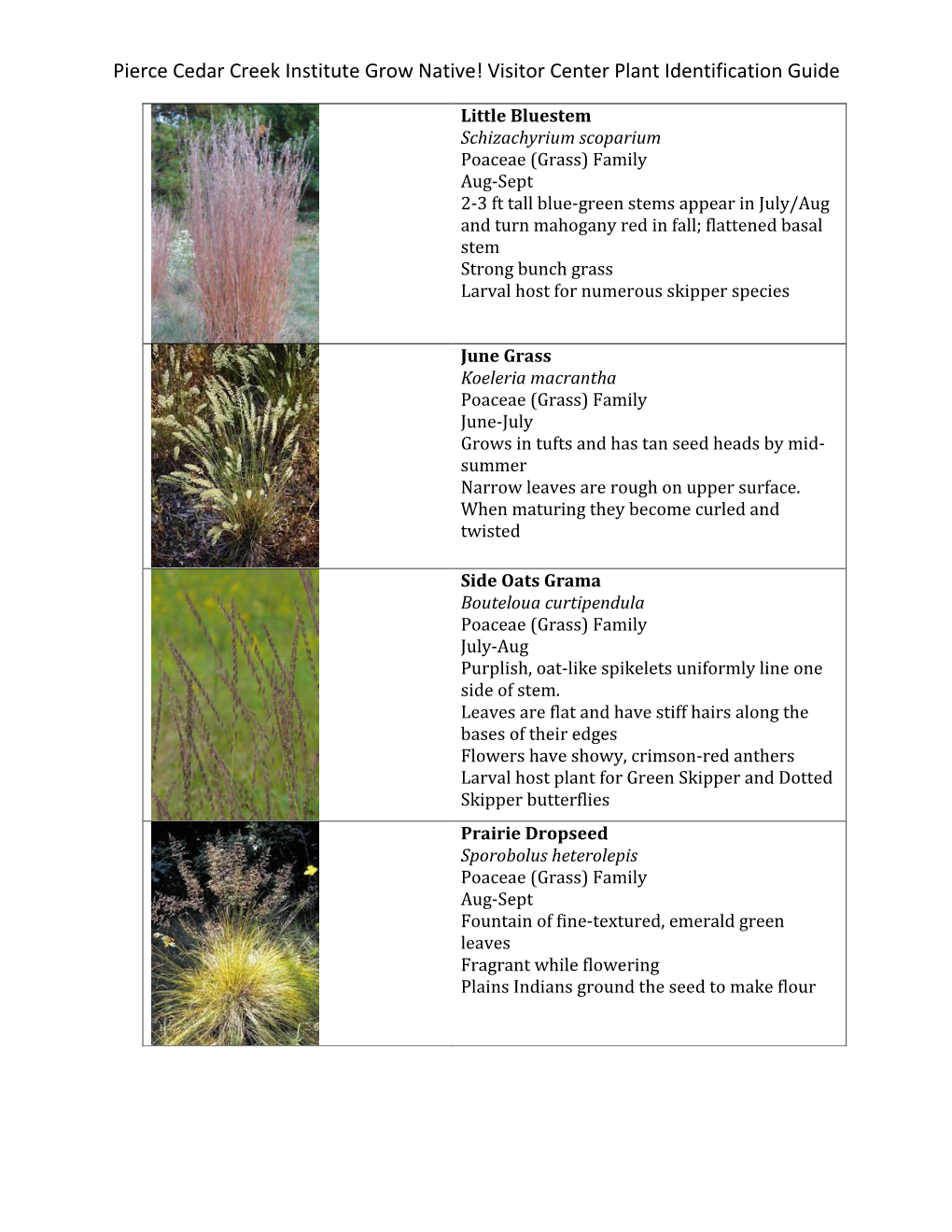 Visitor Center Plant Identification Guide