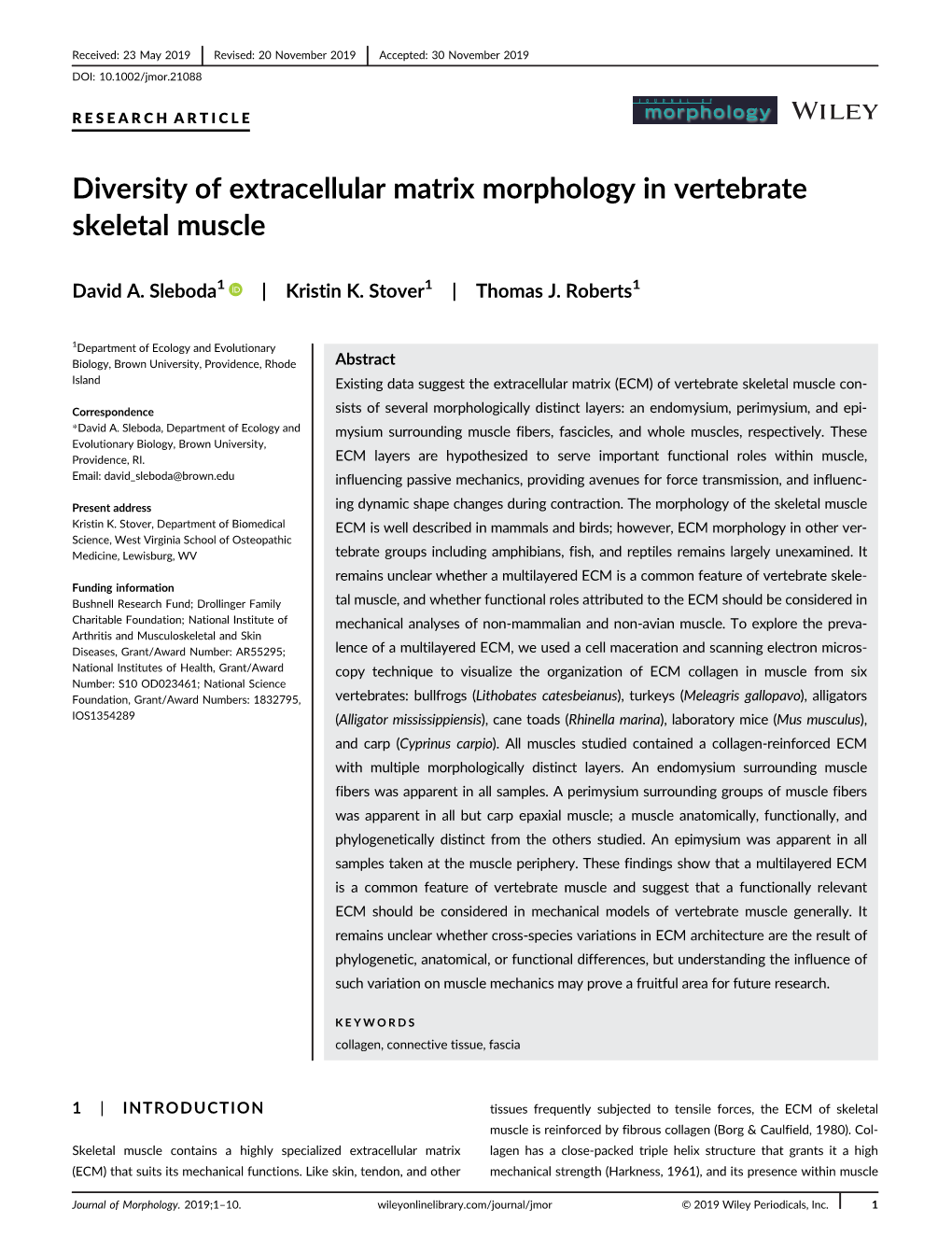 Diversity of Extracellular Matrix Morphology in Vertebrate Skeletal Muscle