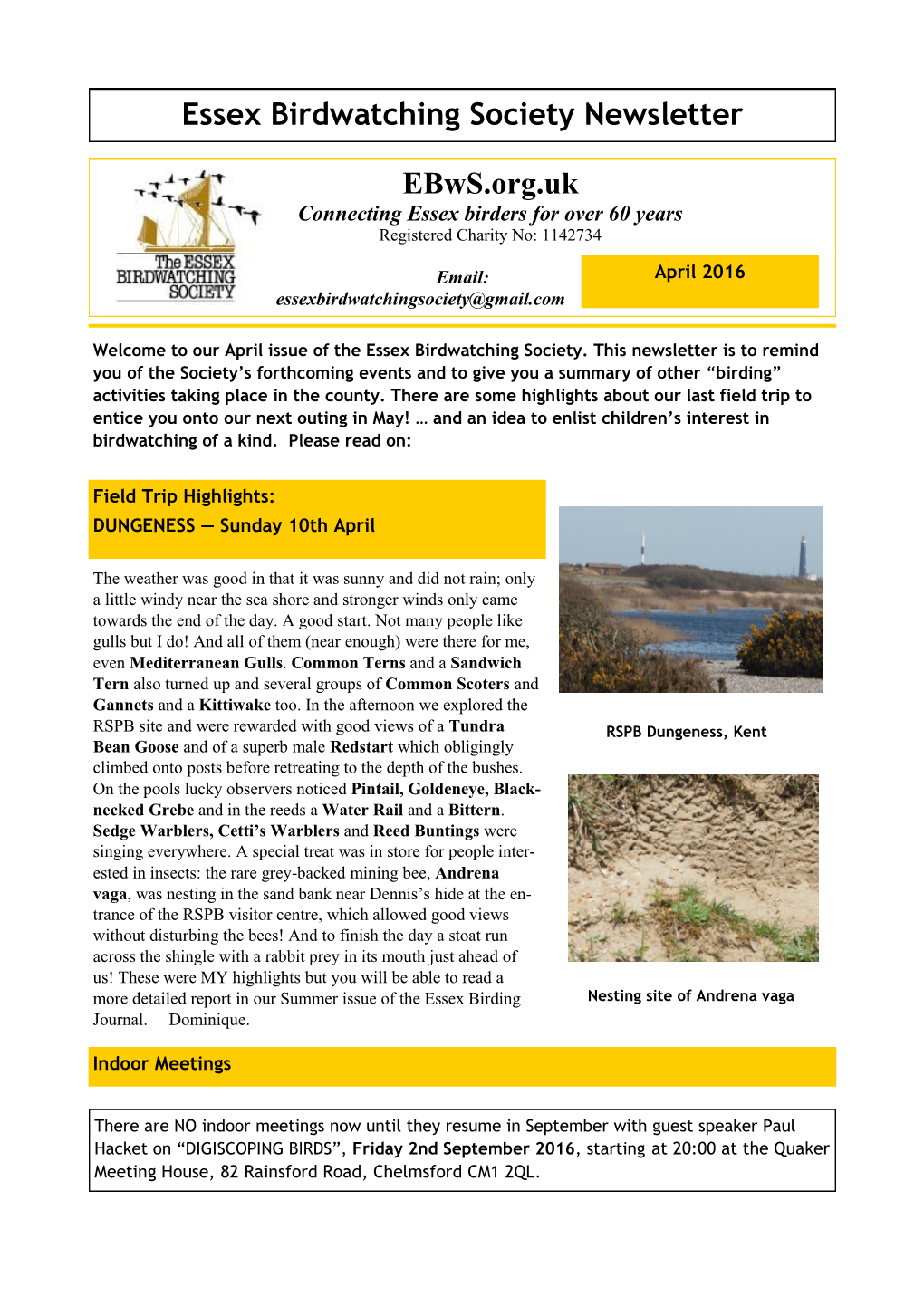 Essex Birdwatching Society Newsletter Ebws.Org.Uk