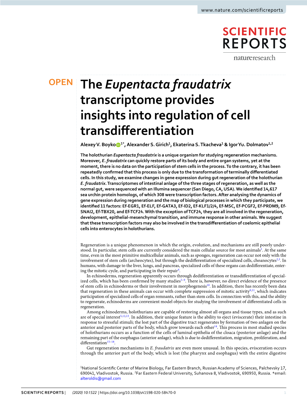 The Eupentacta Fraudatrix Transcriptome Provides Insights Into Regulation of Cell Transdiferentiation Alexey V