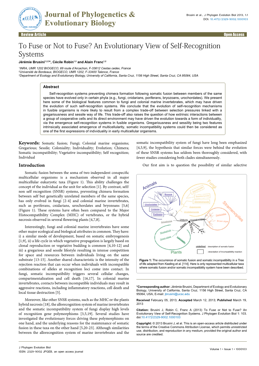 An Evolutionary View of Self-Recognition Systems