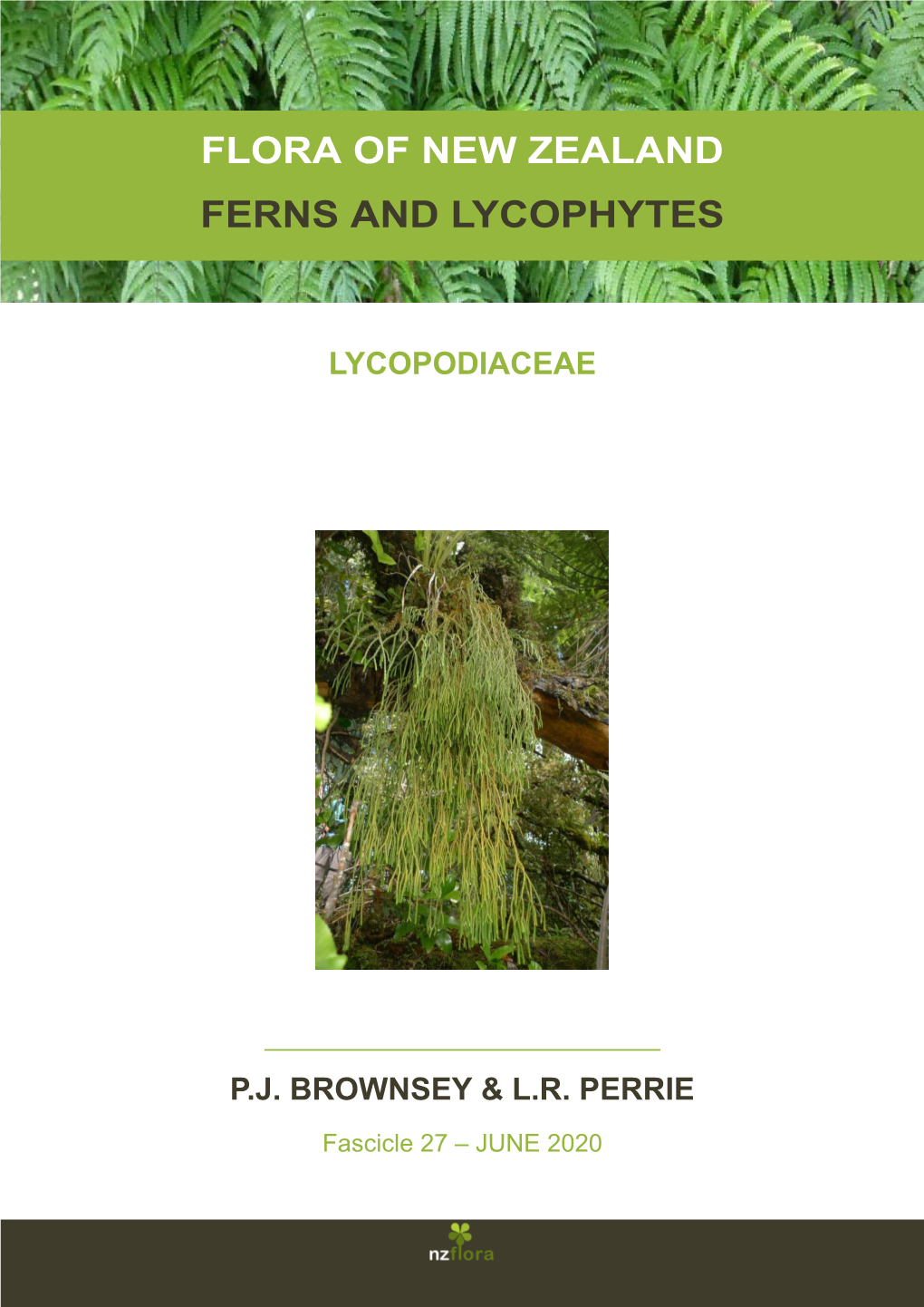 Flora of New Zealand Ferns and Lycophytes