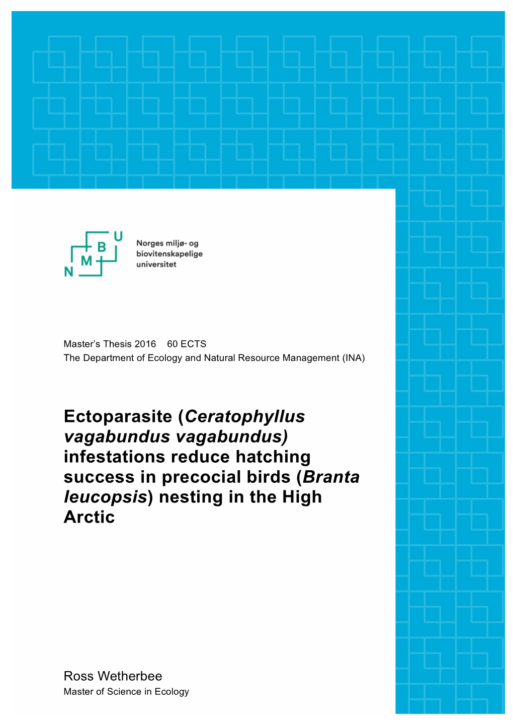 Ectoparasite (Ceratophyllus Vagabundus Vagabundus) Infestations Reduce Hatching Success in Precocial Birds (Branta Leucopsis) Nesting in the High Arctic