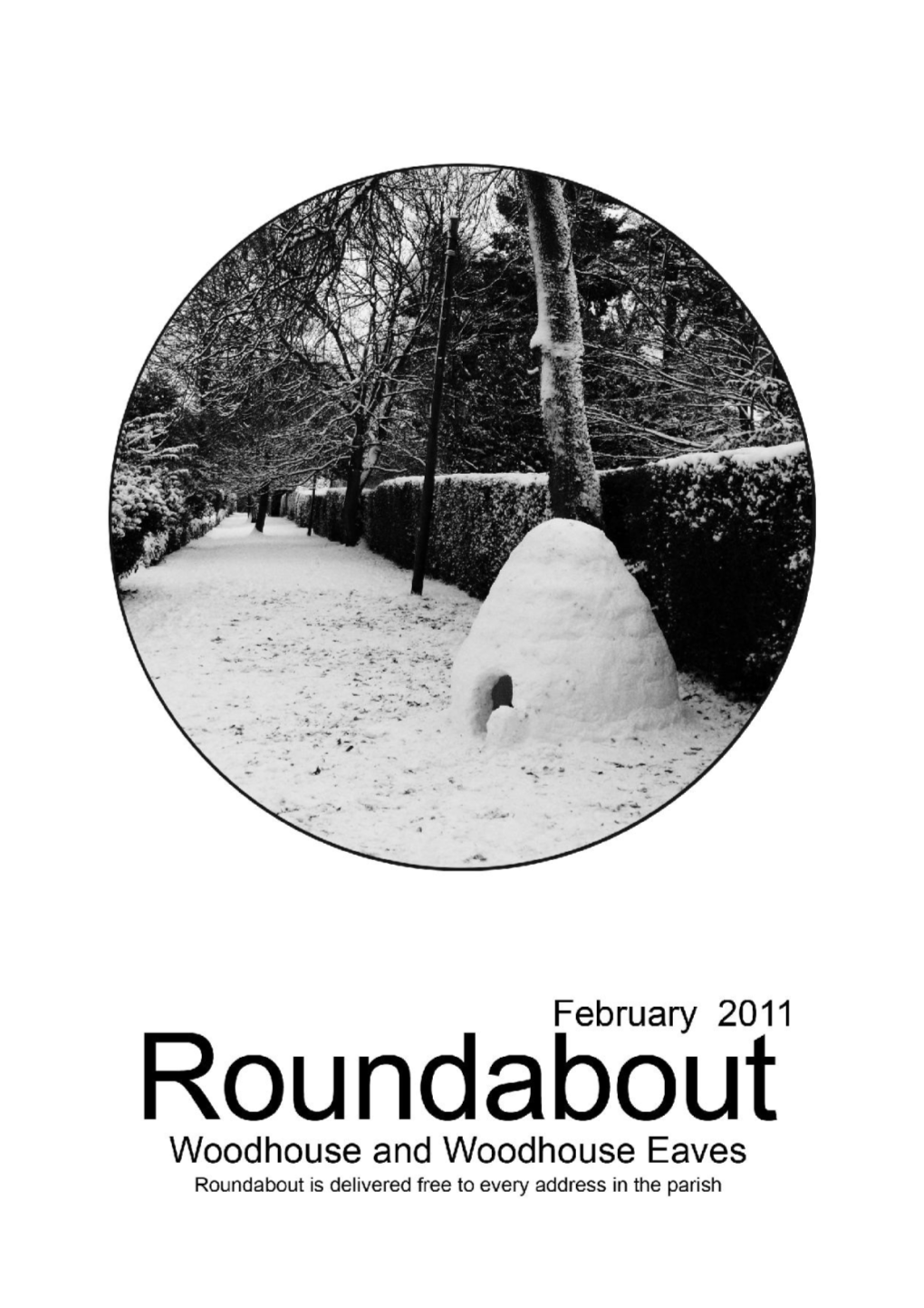 Roundabout Document Template for 2009