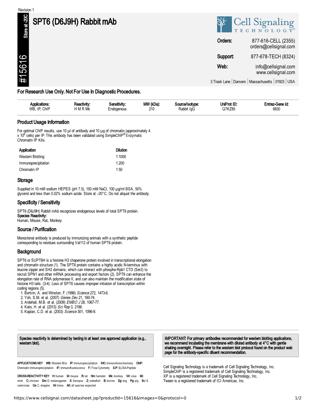 15616 SPT6 (D6J9H) Rabbit Mab