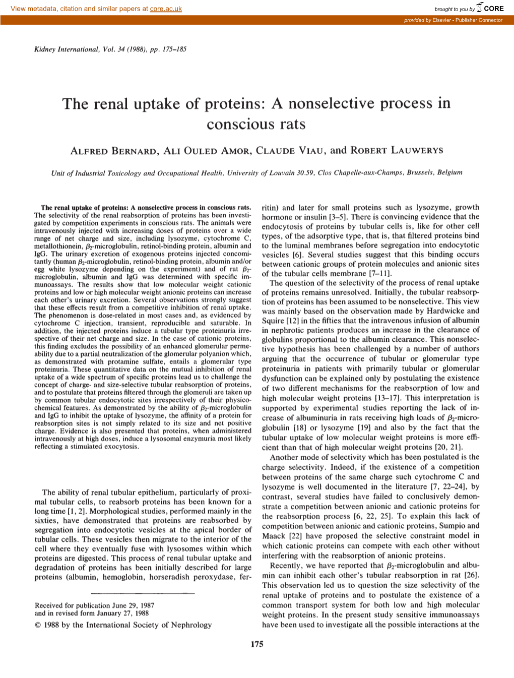 The Renal Uptake of Proteins: a Nonselective Process in Conscious Rats