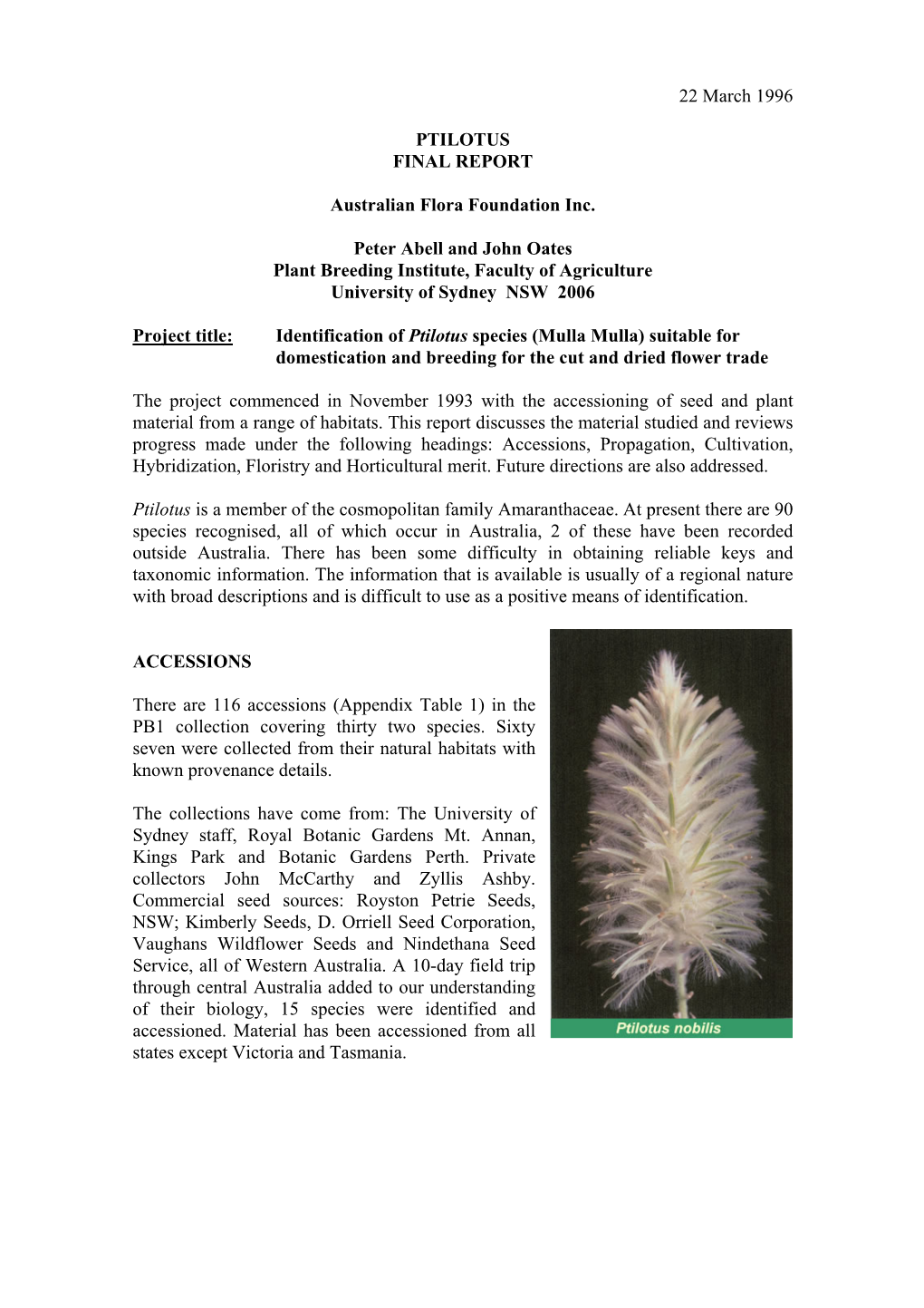 Ptilotus Final Report