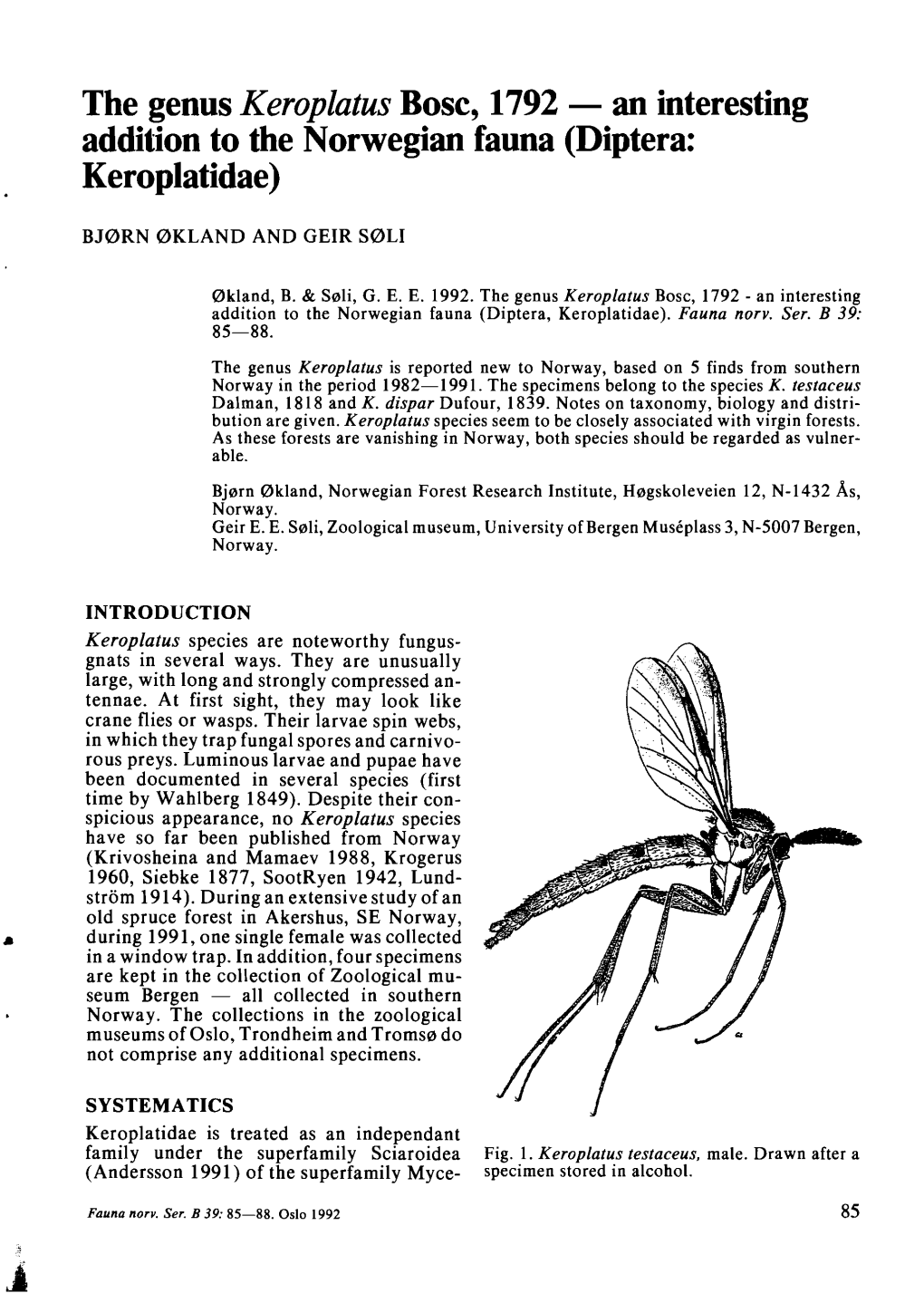 Diptera: Keroplatidae)