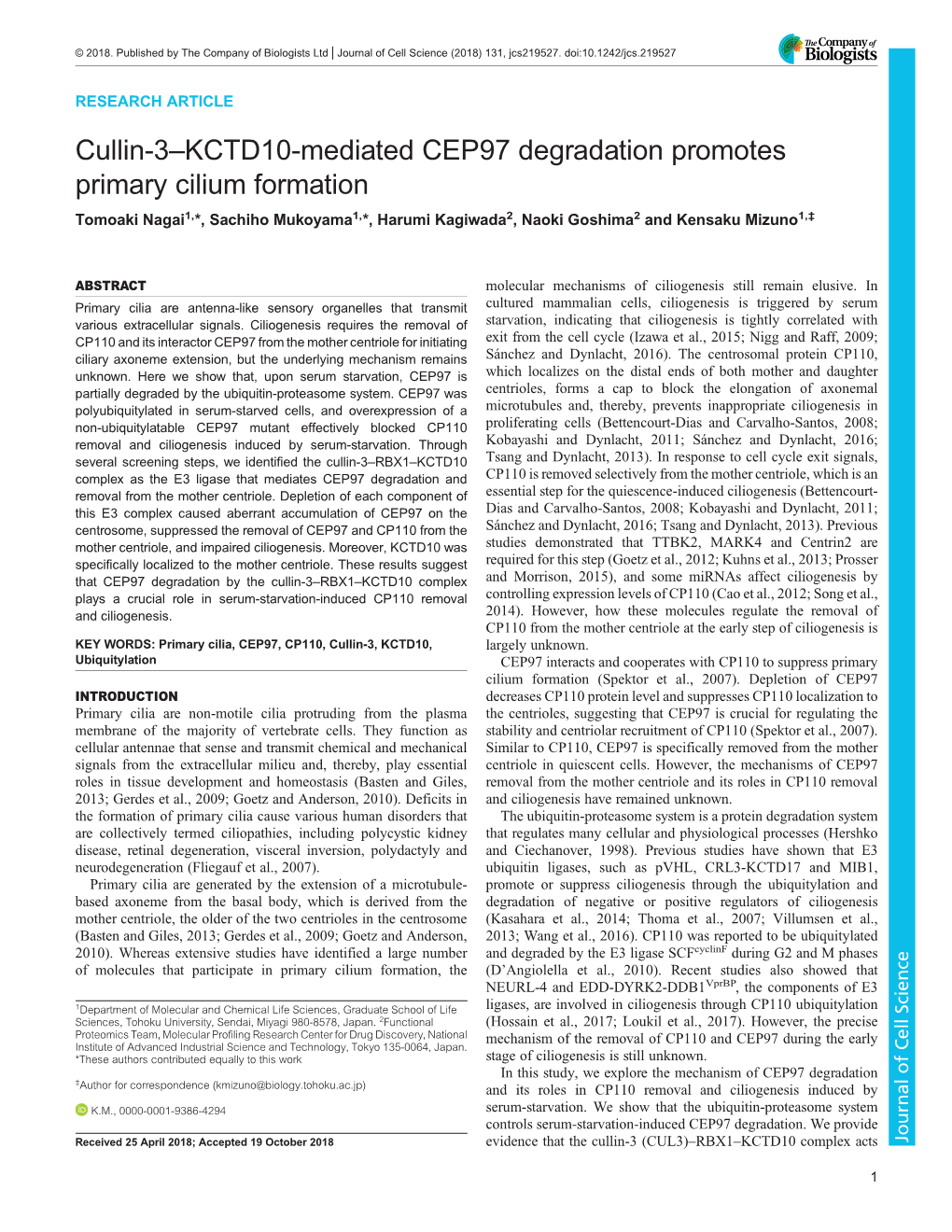 Cullin-3–KCTD10-Mediated CEP97 Degradation Promotes Primary Cilium Formation