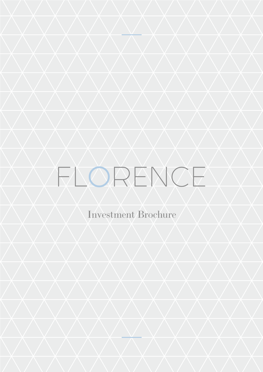 Florence-Investment-Brochure.Pdf