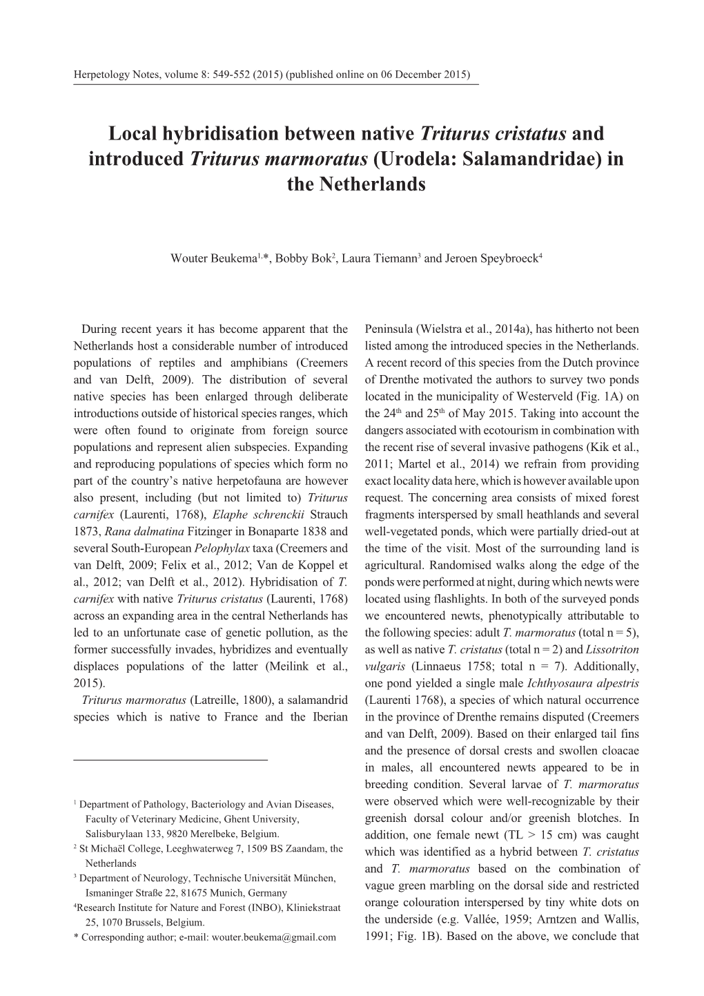 Local Hybridisation Between Native Triturus Cristatus and Introduced Triturus Marmoratus (Urodela: Salamandridae) in the Netherlands