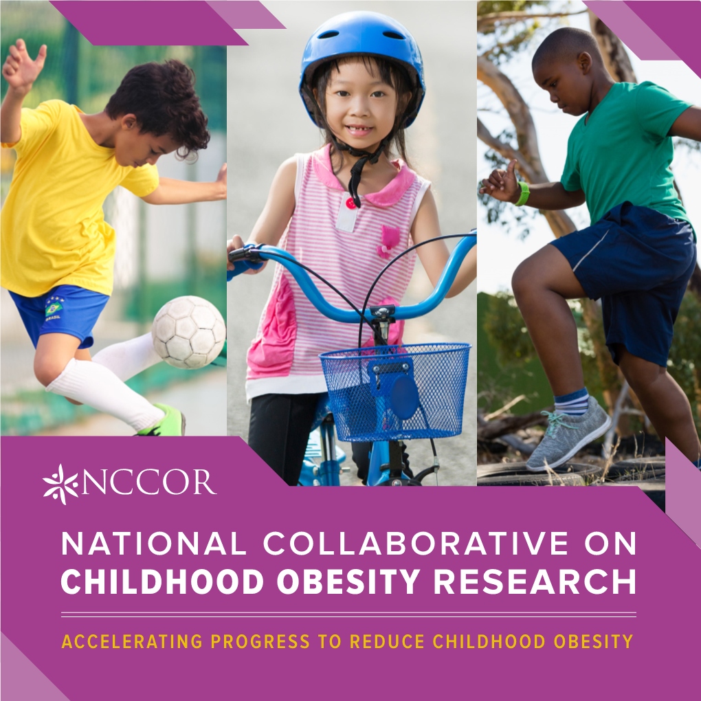 NCCOR Overview Booklet