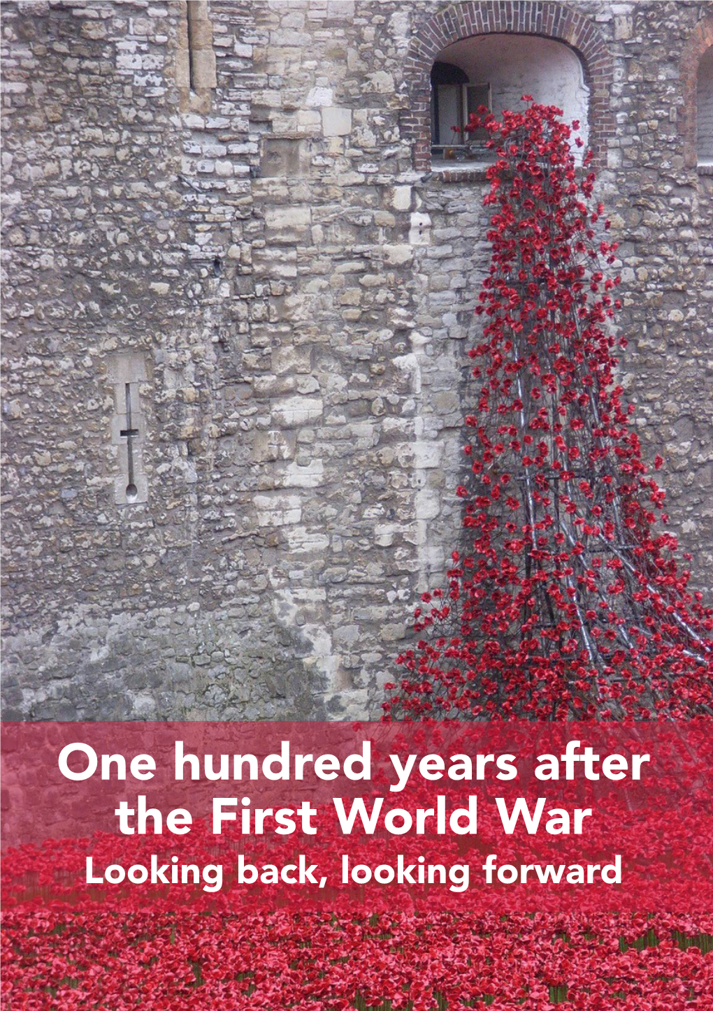 One Hundred Years After the First World War Looking Back, Looking Forward