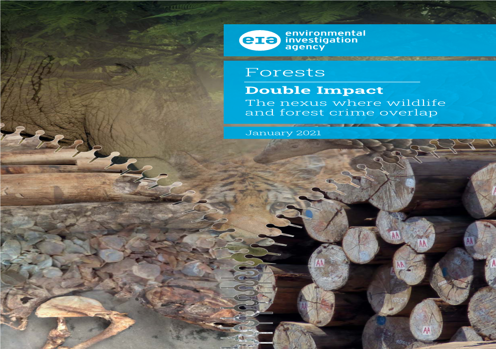 Forests Double Impact the Nexus Where Wildlife and Forest Crime Overlap