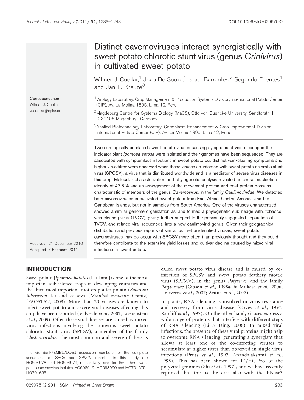 Distinct Cavemoviruses Interact Synergistically with Sweet Potato Chlorotic Stunt Virus (Genus Crinivirus) in Cultivated Sweet Potato