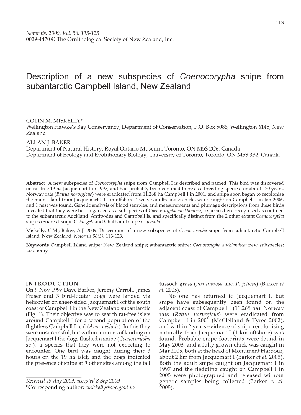 Description of a New Subspecies of Coenocorypha Snipe from Subantarctic Campbell Island, New Zealand