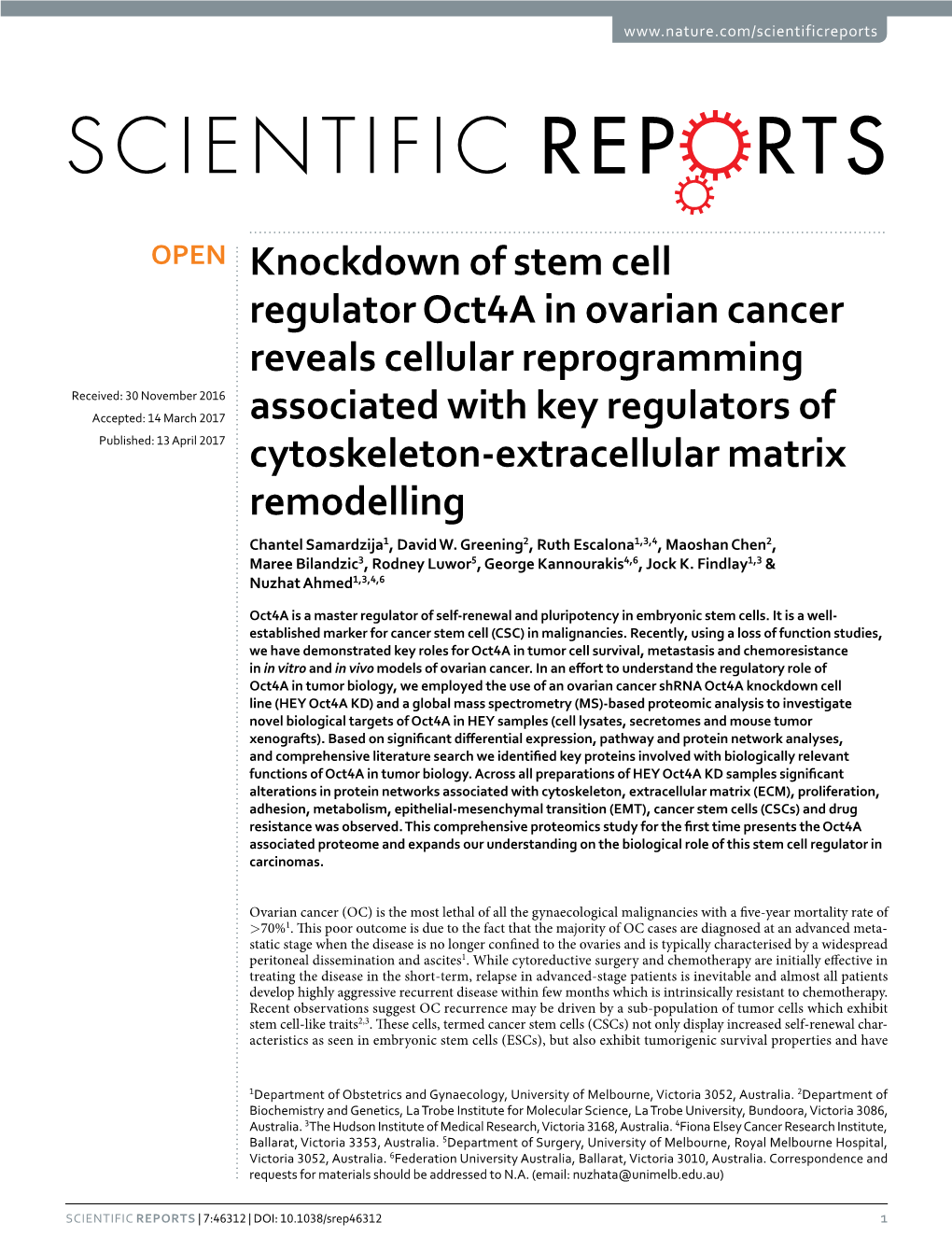 Knockdown of Stem Cell Regulator Oct4a in Ovarian Cancer