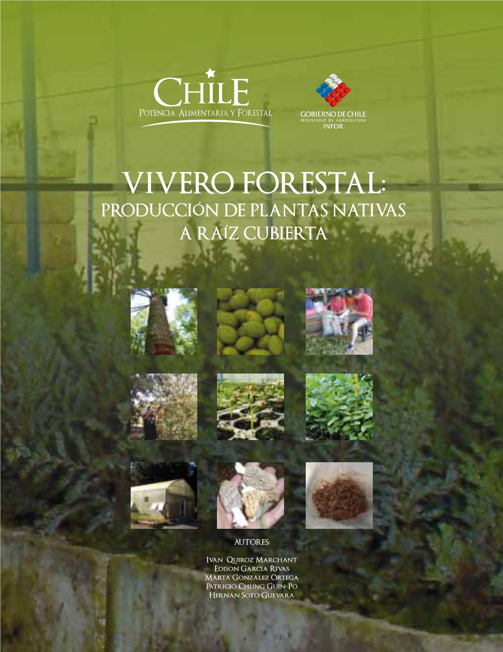 Vivero Forestal: Producción De Plantas Nativas a Raíz Cubierta