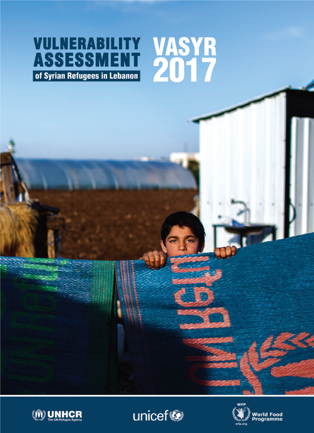 Vulnerability Assessment of Syrian Refugees in Lebanon (Vasyr 2017)