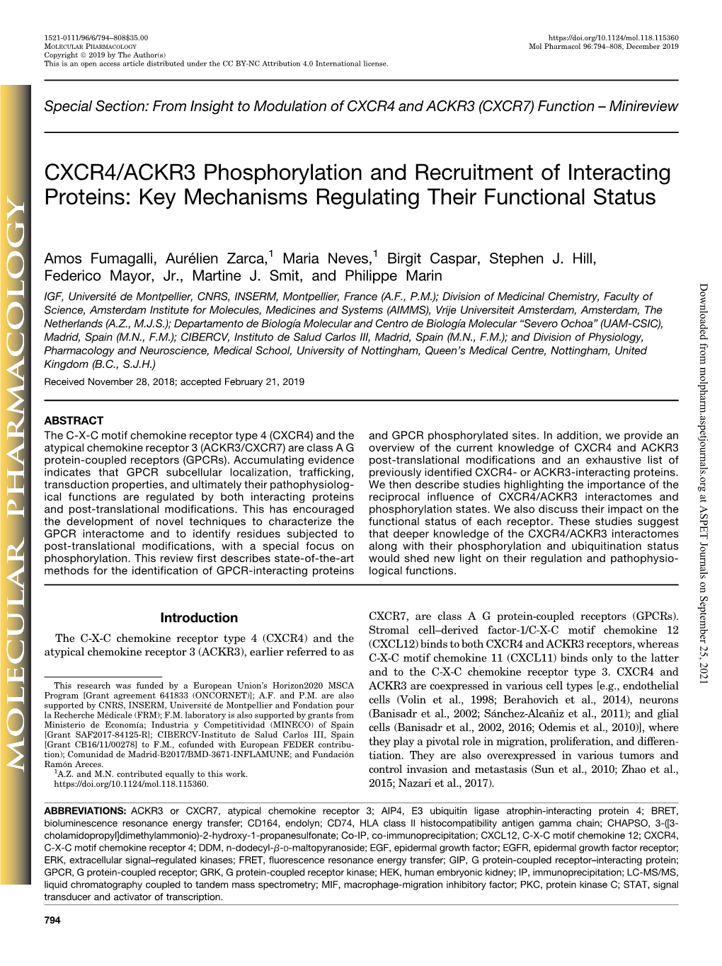 CXCR4/ACKR3 Phosphorylation and Recruitment of Interacting Proteins: Key Mechanisms Regulating Their Functional Status