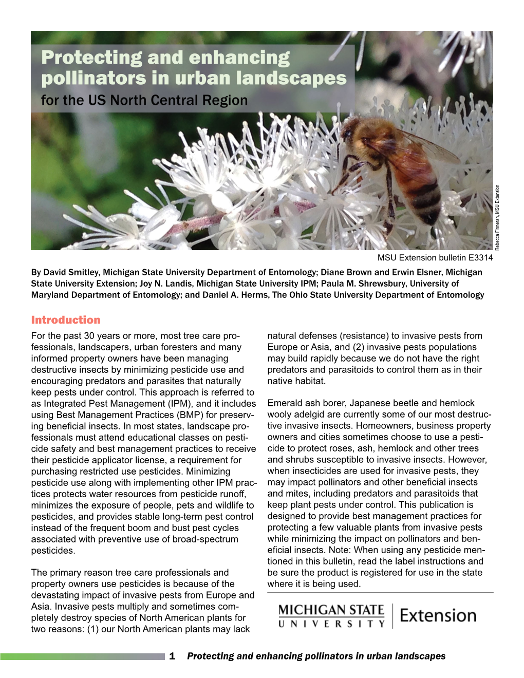 Protecting and Enhancing Pollinators in Urban Landscapes