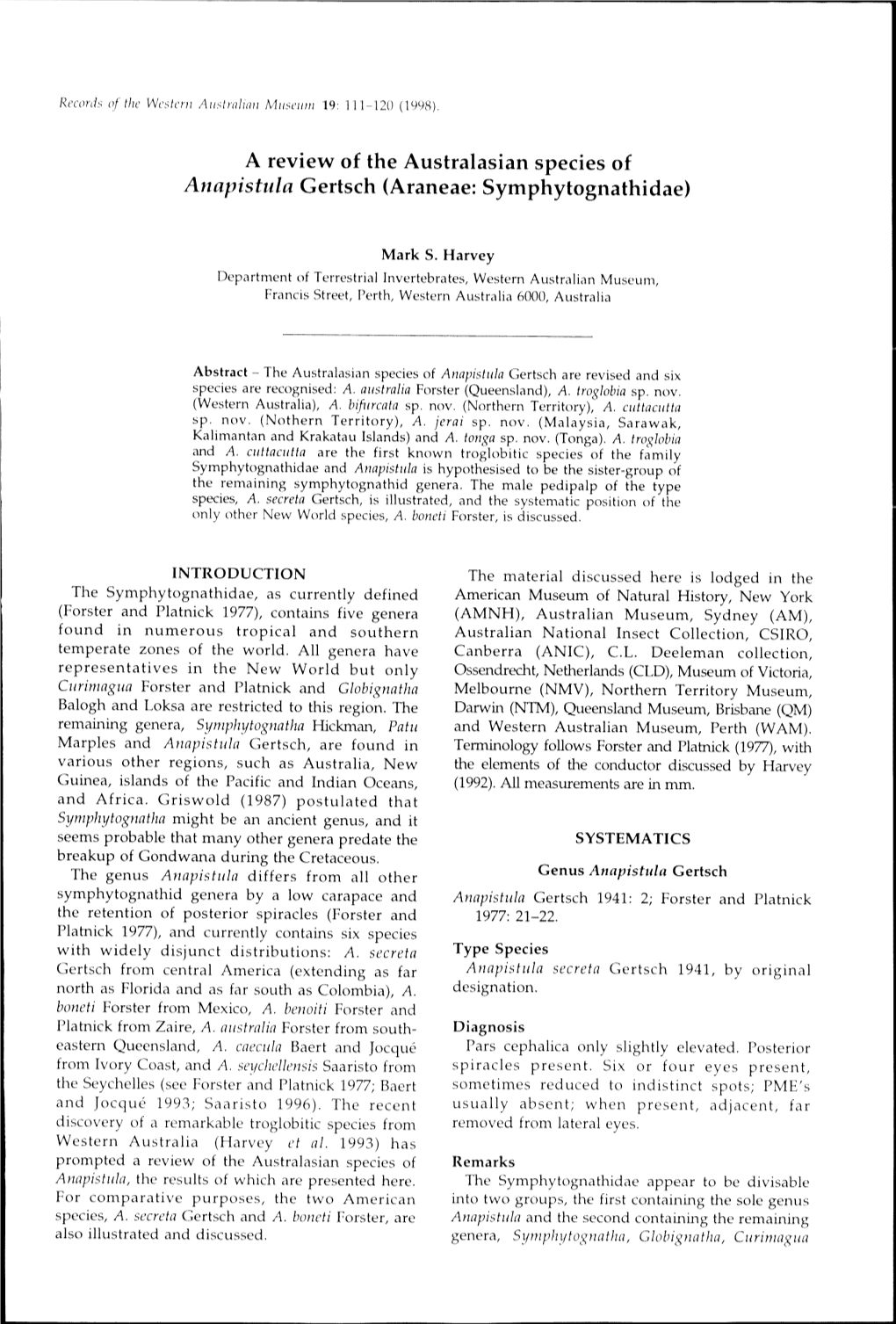 A Review of the Australasian Species of Anapistula Gertsch (Araneae: Symphytognathidae)