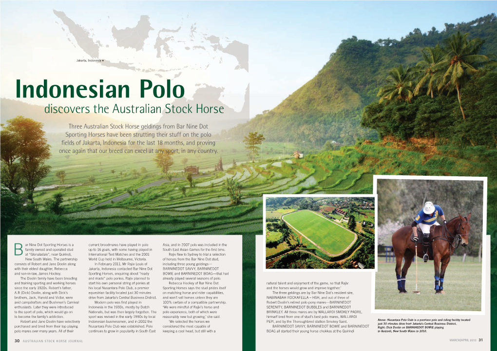 Indonesian Polo Discovers the Australian Stock Horse