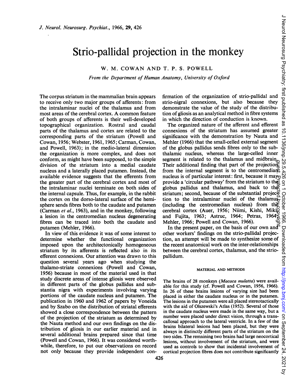 Strio-Pallidal Projection in the Monkey