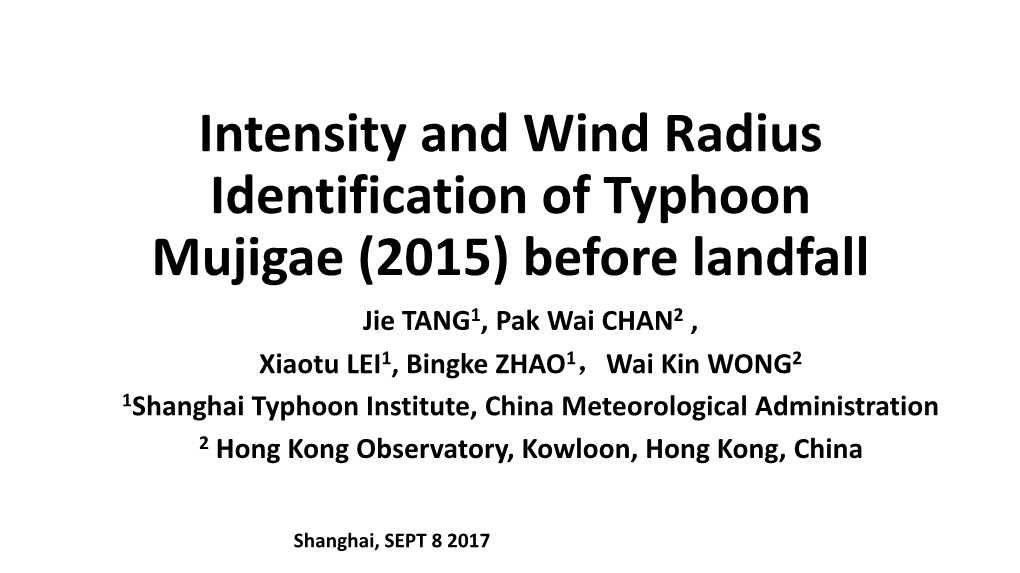 Intensity and Wind Radius Identification of Typhoon Mujigae