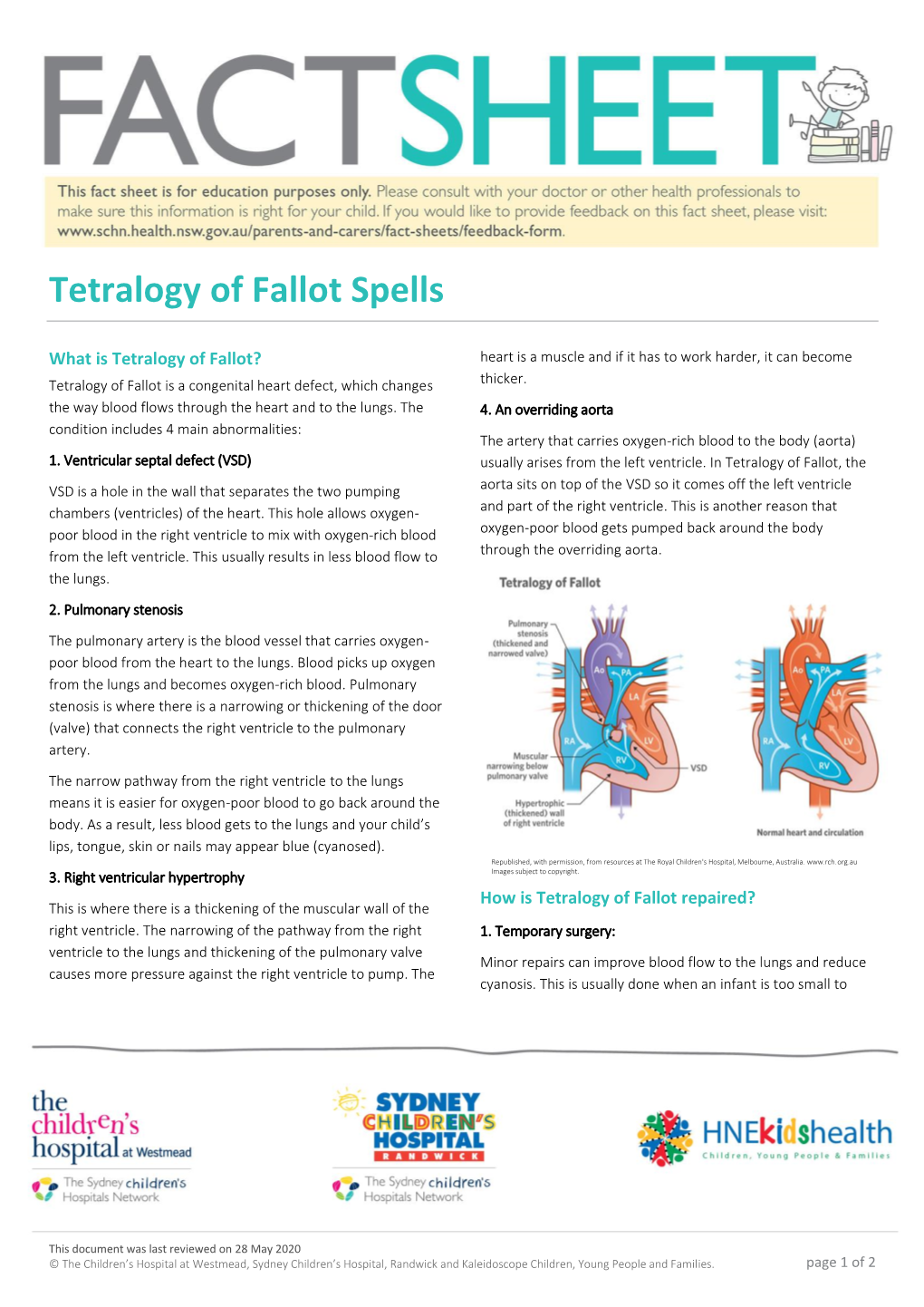 Tetralogy of Fallot Spells
