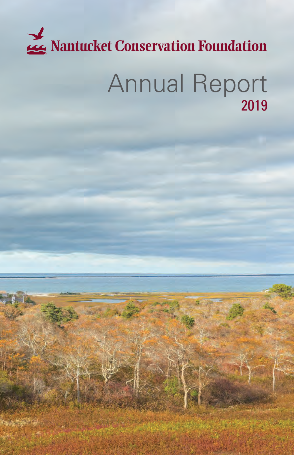 2019 Annual Report