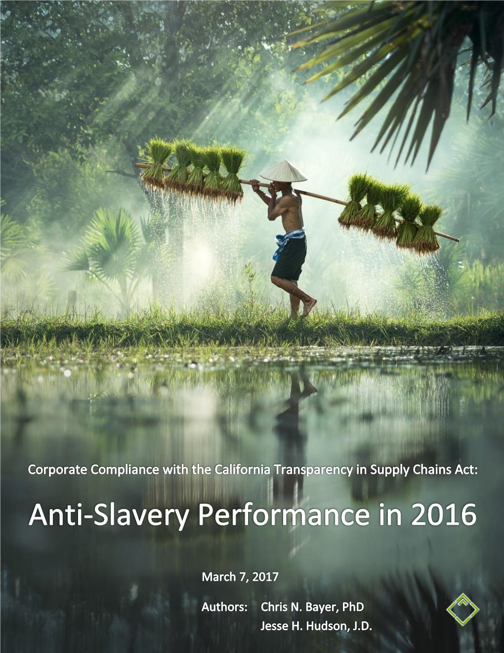 Anti-Slavery Performance in 2016