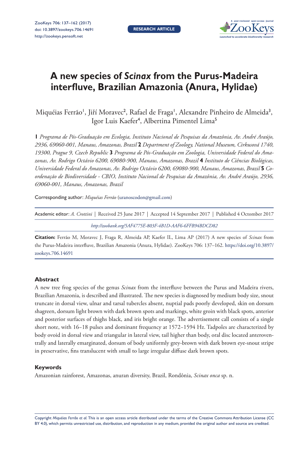 ﻿A New Species of Scinax from the Purus-Madeira Interfluve, Brazilian