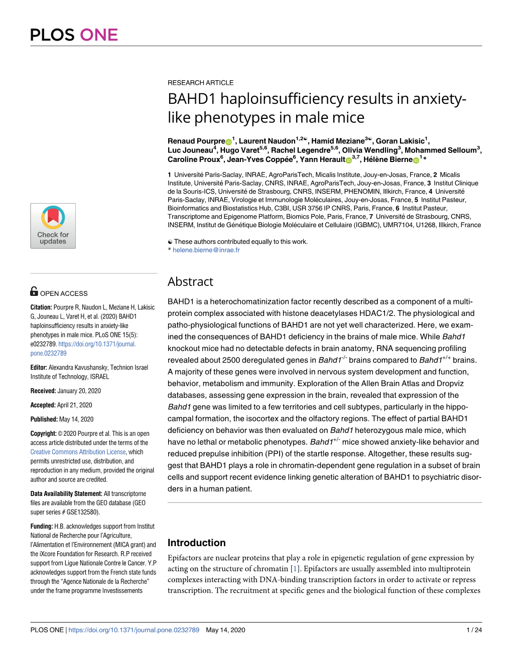 BAHD1 Haploinsufficiency Results in Anxiety-Like Phenotypes in Male Mice