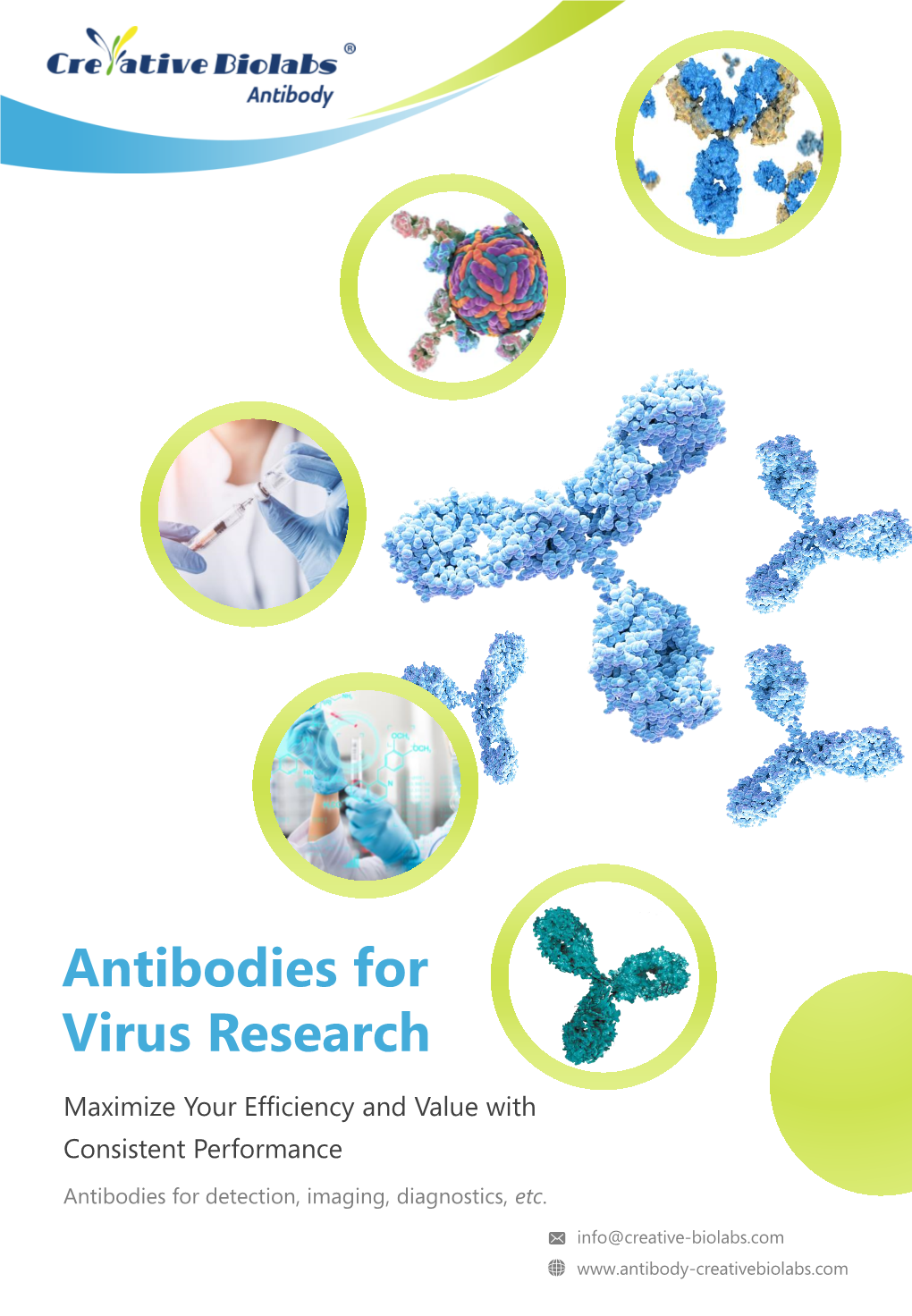 Antibodies for Virus Research