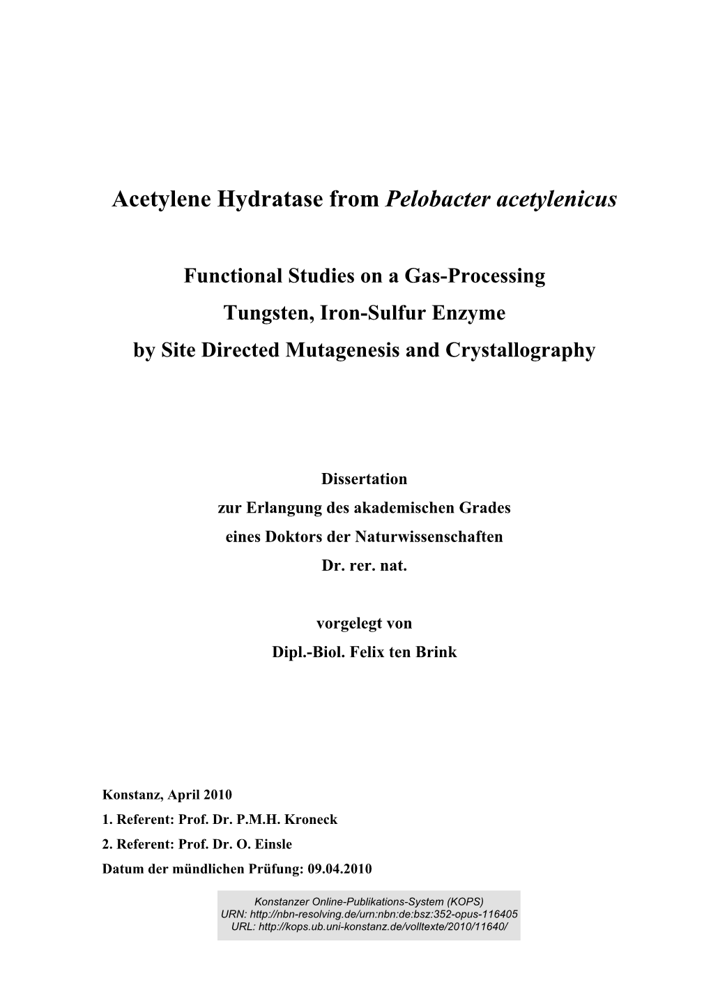 Acetylene Hydratase from Pelobacter Acetylenicus : Functional Studies On