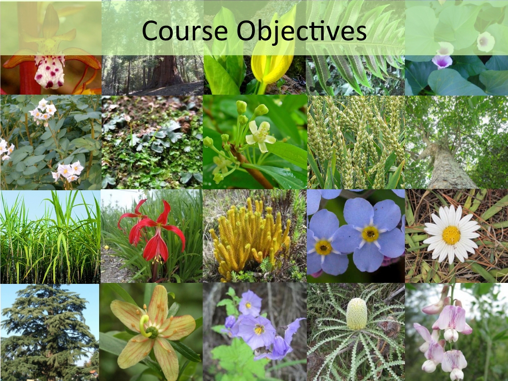 Course Objeclves