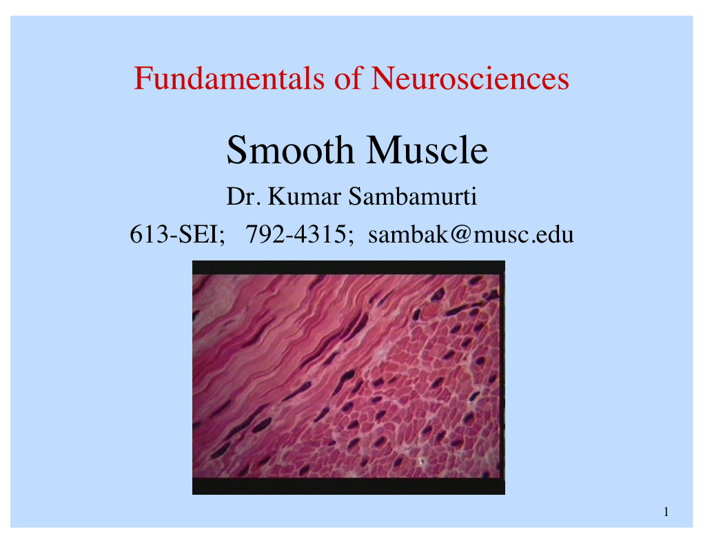 Smooth Muscle Dr