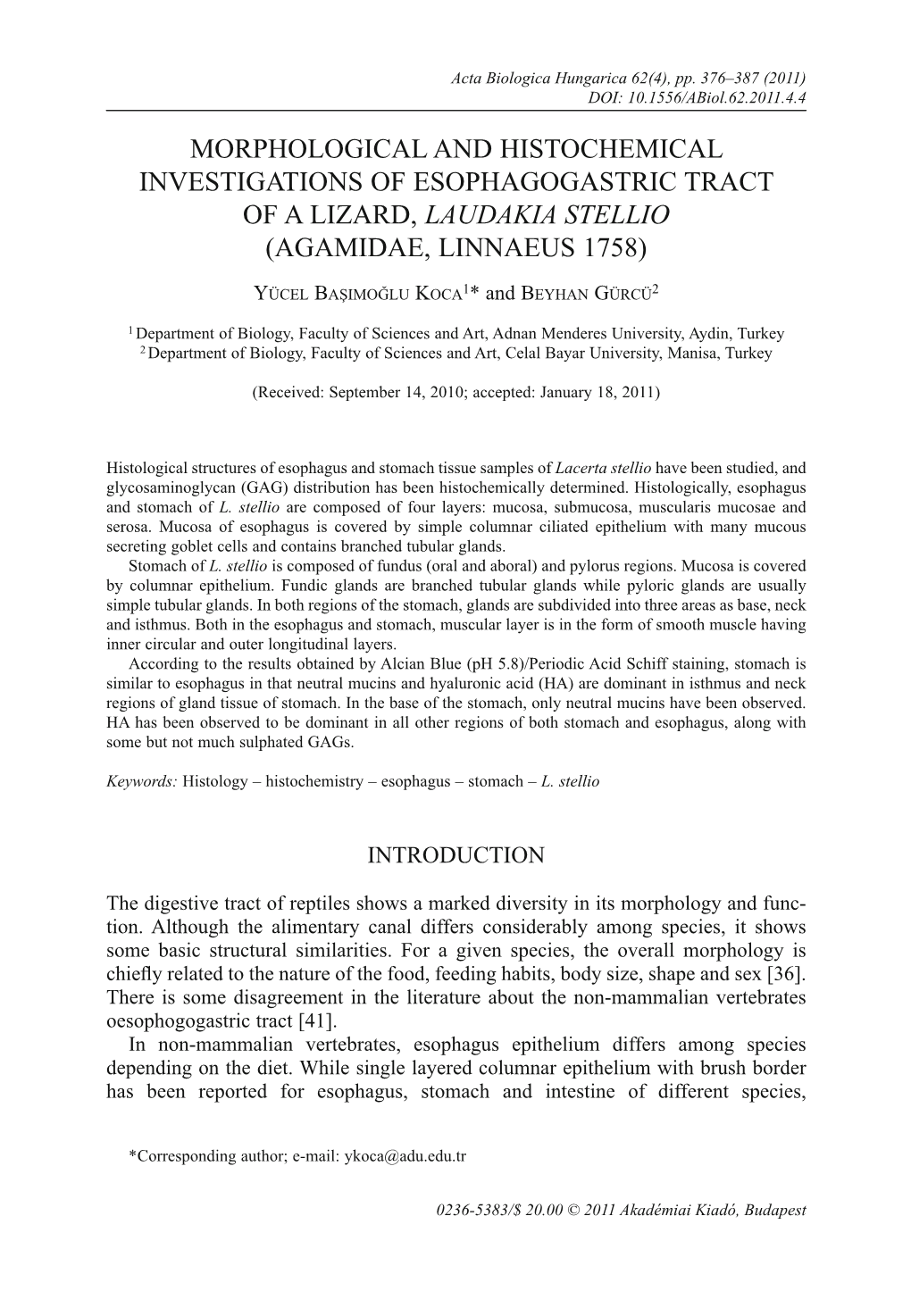 Morphological and Histochemical Investigations of Esophagogastric Tract of a Lizard, Laudakia Stellio (Agamidae, Linnaeus 1758)