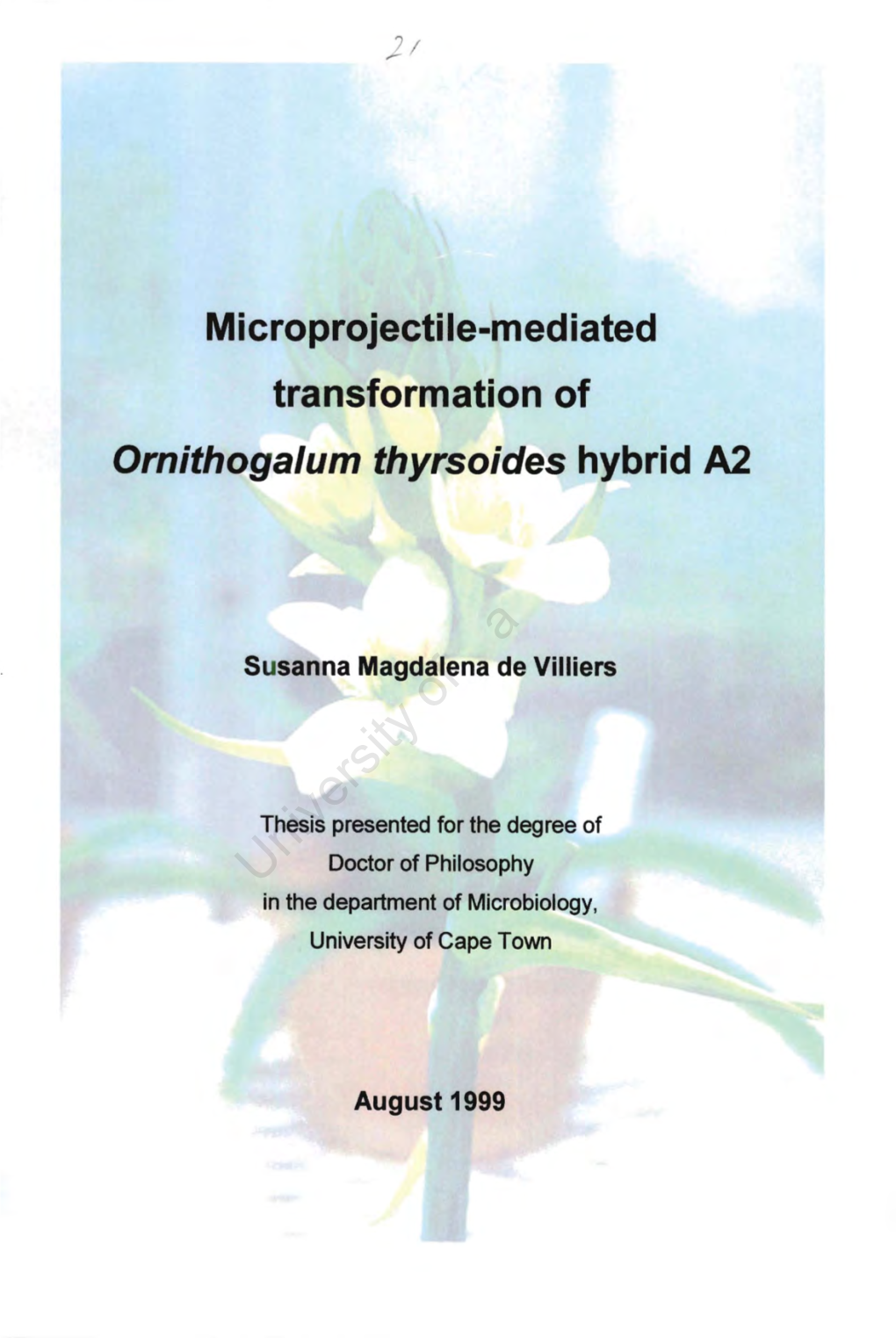 Microprojectile-Mediated Transformation of Ornithogalum