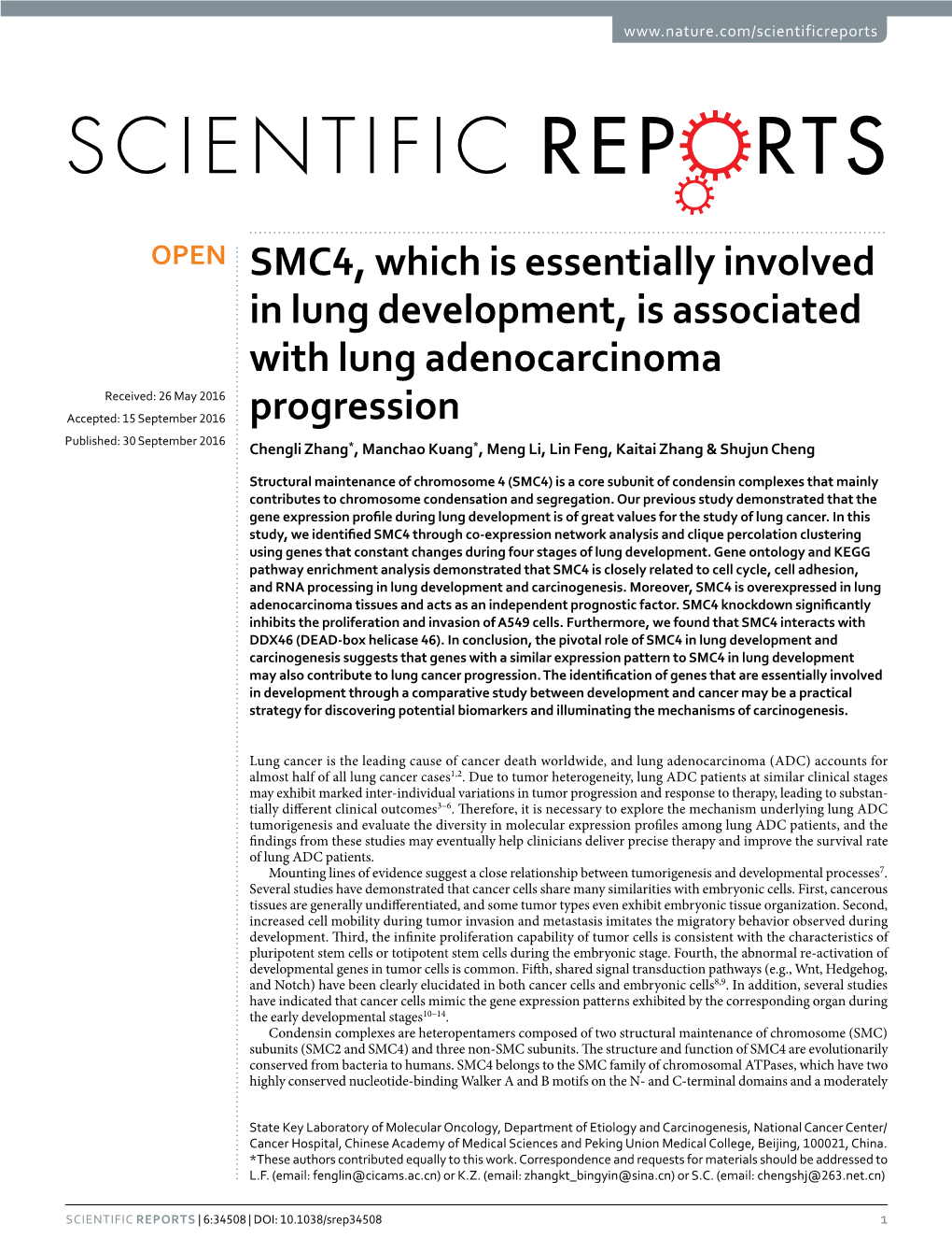 SMC4, Which Is Essentially Involved in Lung Development, Is Associated